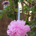 Bienvenida Atia! Bienvenida Atia!