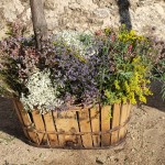 Cesto de flores silvestres