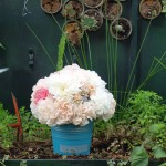 Flores para enfant Terrible Flores para Enfant Terrible