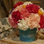 Flores para les jardins