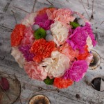 pintando con claveles