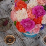 pintando con claveles