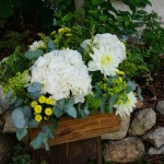 Hortensias blancas, solidago, margaritas y dalias para un día especial.