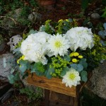 Hortensias blancas, solidago, margaritas y dalias para un día especial.