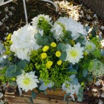 Hortensias blancas, solidago, margaritas y dalias para un día especial.