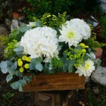Hortensias blancas, solidago, margaritas y dalias para un día especial.