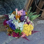 Ramo preservado silvestre con lavanda, flor de arroz, achillea y otras flores de campo